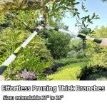 Extendable Tree Trimmer with Sharp Steel Blade
