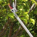 GARTOL Garden Pruner with Telescopic Handle