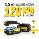 Cordless Mini Chainsaw with 2 Batteries and Case