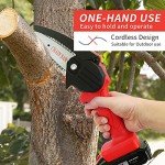 Mini Cordless Chainsaw with Batteries for Pruning