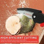Mini Cordless Chainsaw with Batteries for Pruning