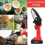 Mini Cordless Chainsaw with Batteries for Pruning