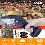 Mini Chainsaw Kit with 2 Batteries - Cordless Gardening