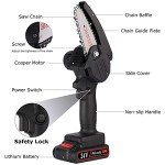 Mini Chainsaw Kit with 2 Batteries - Cordless Gardening