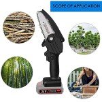 Mini Chainsaw Kit with 2 Batteries - Cordless Gardening
