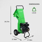 GARDENBEAUT S1 Gas Wood Chipper, 7 HP