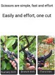 Heavy Duty Manual Bypass Pruning Shears
