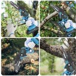 Cordless 6-Inch Mini Chainsaw with Batteries & Chains