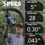 5" Low Kickback Chainsaw Chain - 2 Pack