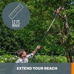 Worx 20V 10" Cordless Pole Chain Saw