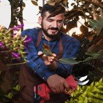 Cordless Electric Pruning Shears with SK5 Blades