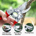 Kynup Heavy Duty Bypass Pruning Shears - 2 Pack