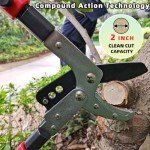 Heavy Duty Extendable Tree Pruner and Cutter