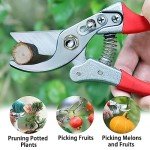Kynup Heavy Duty Bypass Pruning Shears - 2 Pack