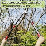 Heavy Duty Extendable Tree Pruner and Cutter