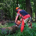 Elvex Delta Plus ProVest II Chainsaw Safety Vest