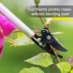 Byhagern 32-Inch Long-Reach Tree Pruner