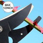 Byhagern 32-Inch Long-Reach Tree Pruner