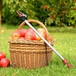 Byhagern 32-Inch Long-Reach Tree Pruner