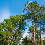 Walensee 10FT Lightweight Manual Pole Saw