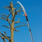 Walensee 10FT Lightweight Manual Pole Saw
