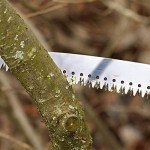 Walensee 10FT Lightweight Manual Pole Saw