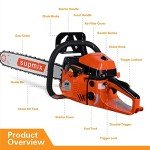 62cc 20-Inch Gas Chainsaw for Wood Cutting