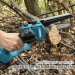 IRONFACE Cordless 2-in-1 Pole and Mini Chainsaw