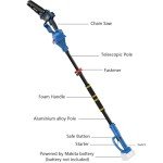 IRONFACE Cordless 2-in-1 Pole and Mini Chainsaw