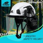 DarlingSafe 3-in-1 Forestry Safety Helmet & Shield