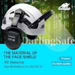 DarlingSafe 3-in-1 Forestry Safety Helmet & Shield