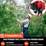 COOCHEER 58CC Gas Pole Saw with Extendable Reach