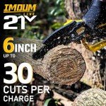 Cordless Mini Chainsaw with Batteries for Pruning