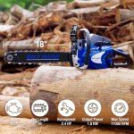 BILT HARD 18 Inch Gas Chainsaw, 46cc 2.4 HP Gas Power Chain Saw with Automatic Oiler, 2-Cycle Engine, Petrol Handheld Gasoline Chainsaws for Wood Cutting