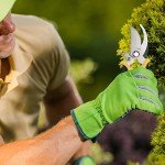 Lothee 4 Pcs Pruning Shears for Gardening Hand Garden Shears Heavy Duty Garden Clippers Hedge Plant Cutting Scissors Bypass Pruner Secateurs for Tree Trimming Bonsai Cutting Fruits Picking