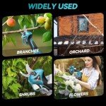 Seesii 2-in-1 Cordless Pole Pruning Shears, Electric Pruning Shears with Pole, 20V 2.0Ah Battery Powered Pole Pruner for Tree Trimming