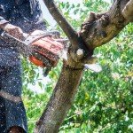 [4 Pieces] 8 Inch Chainsaw Chains with Guide Bar, 3/8" LP Pitch, 050" Gauge, 33 Drive Links, 8" Saw Guide Bar and Chain Combo Replacement for Greenworks, Sun Joe, Portland, Oregon and more- S33