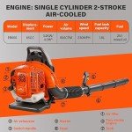 JellyMoving 65CC Gas Powered Backpack Leaf Blower