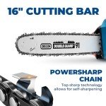 40V Cordless 16-Inch DongCheng Chainsaw with Batteries