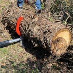 SPEED FORCE 47" Aluminum TimberJack Logger Tool