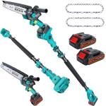 Cordless 2-in-1 Pole Saw and Mini Chainsaw