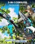 Cordless 2-in-1 Pole Saw and Mini Chainsaw