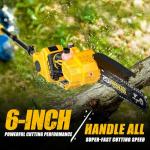 Cordless 2-in-1 Pole Saw & Mini Chainsaw