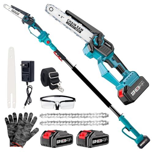 Cordless 2-in-1 Pole & Mini Chainsaw Combo