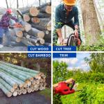 10" Chainsaw Chain & Guide Bar Set