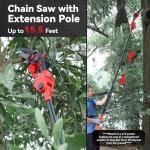 Avhrit 2-in-1 Cordless Pole Saw & Chainsaw