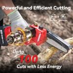 Avhrit 2-in-1 Cordless Pole Saw & Chainsaw