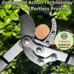 Extendable Tree Trimmer with Sharp Steel Blade