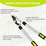 Extendable Tree Trimmer with Sharp Steel Blade