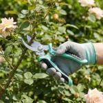 Lothee 9 Pcs Garden Shears Pruning Garden Clippers Bulk Bypass Pruner Heavy Duty for Gardening Hedge Plant Cutting Flower Scissors for Tree Trimming Bonsai Cutting Fruits Picking